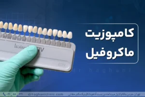 کامپوزیت ماکروفیل